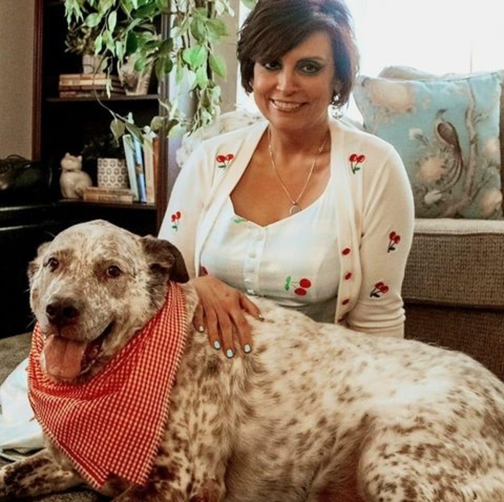 Meet your Posher, Mike